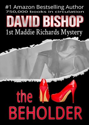 The Beholder (A Maddie Richards Mystery Book 1)