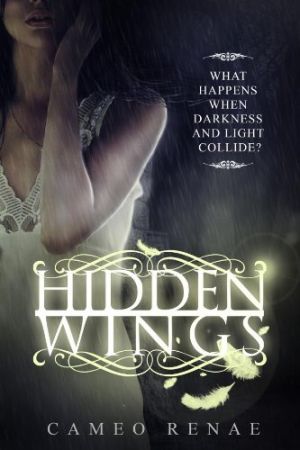 Hidden Wings (Hidden Wings Series Book One)