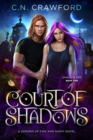 Court of Shadows (Shadow Fae Book 1)
